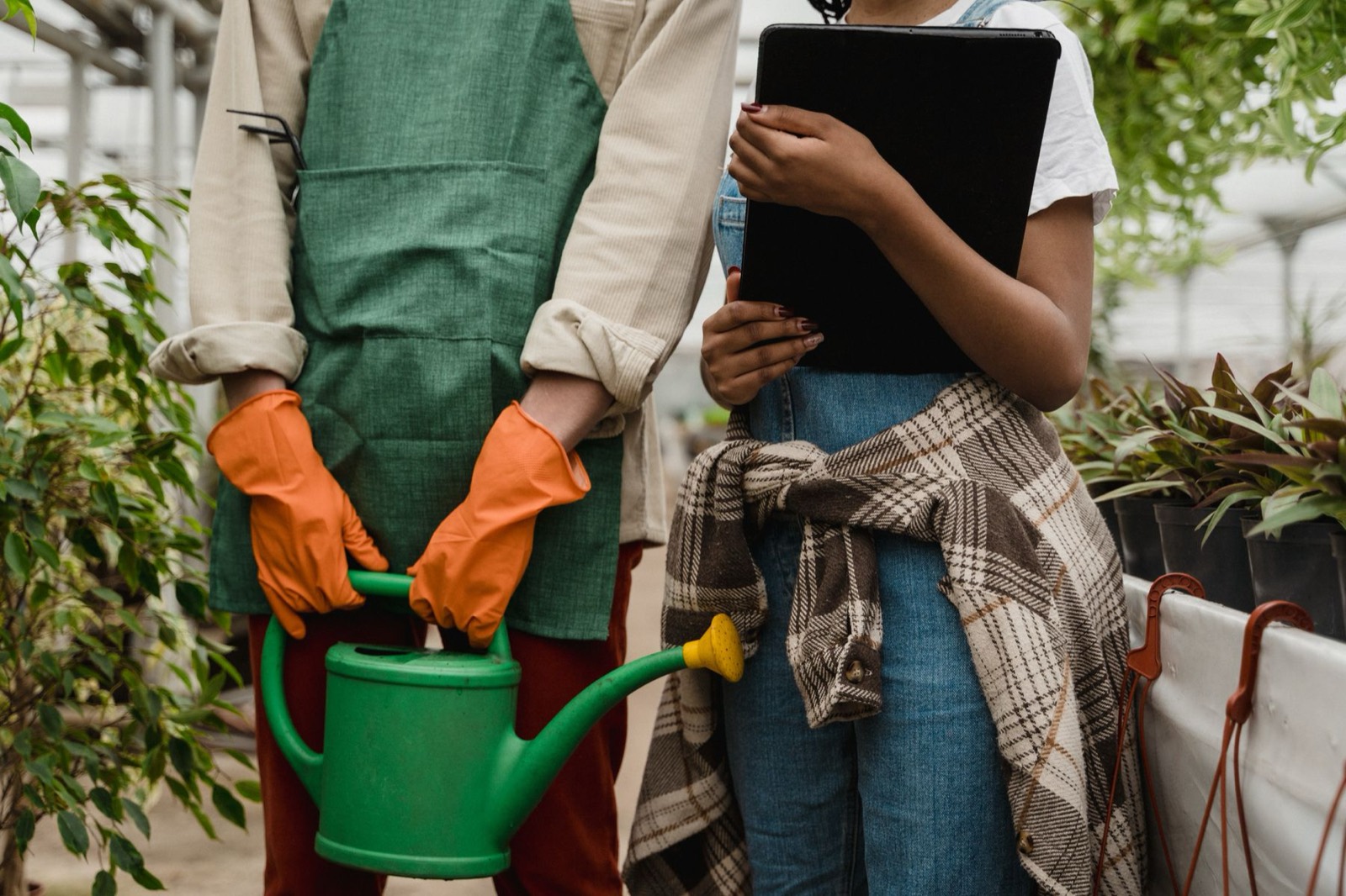 Gardeners checking plants and notes while working in a greenhouse