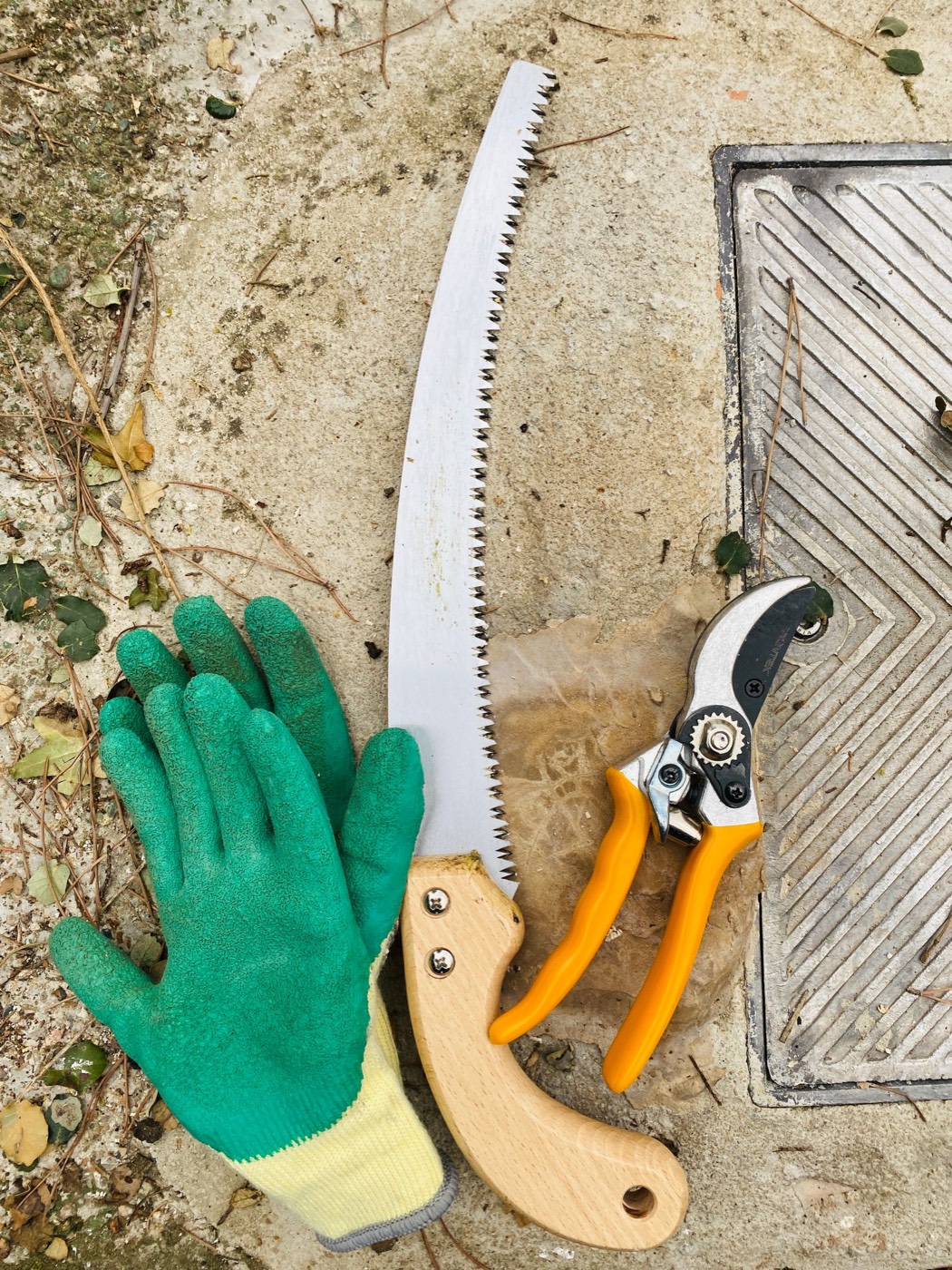 Gardening gloves, pruning tools, and saw arranged on a work surface