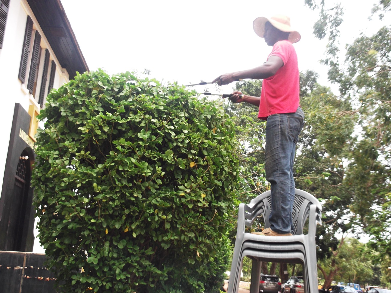 Gardener pruning a hedge with garden tools