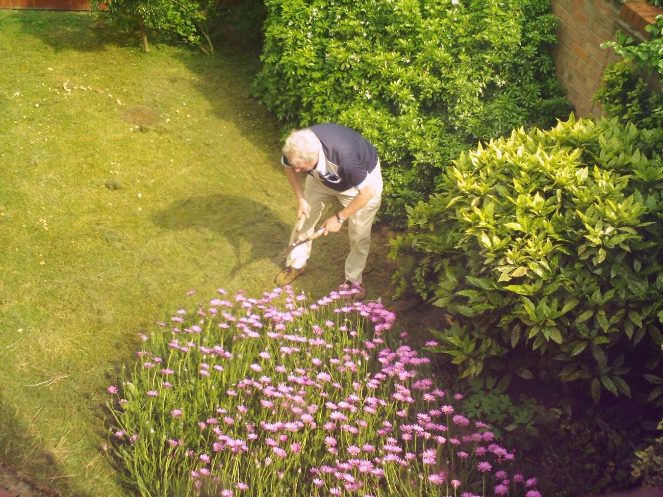 Person gardening by hand in a planted garden bed